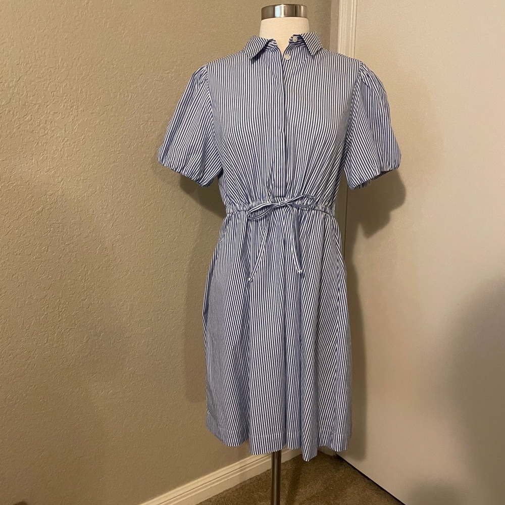 J. Crew Blue and White Striped Mini Dress